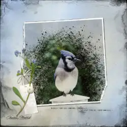 APPWellspring_TexturizedBluejay_CharleneMitchell_1000-1