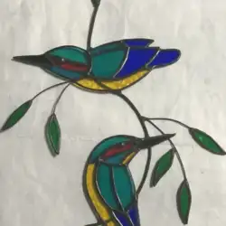 Birds