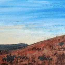 Grasslands-Outback