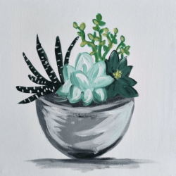 Succulents-Creative-Collective