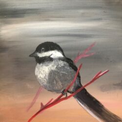 chickadee