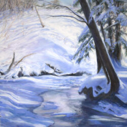 ReflectionsonaWintersDaymedia